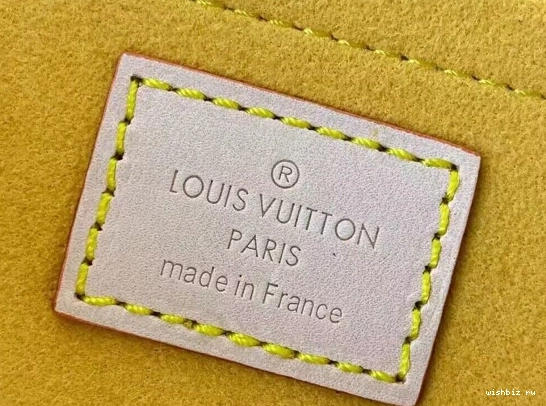 WIS PLEATY VUITTON LOUIS HANDBAG 0725